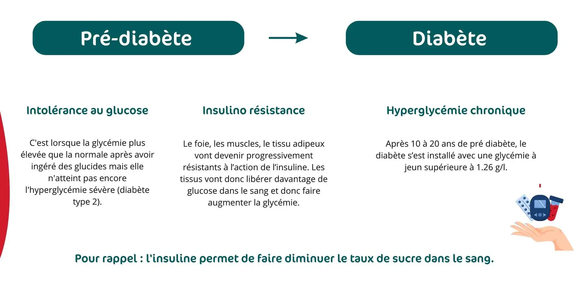 Représentation des différents phases du diabète, pré-diabète et diabète